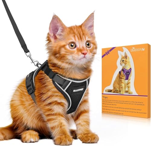 Bigcow 猫 猫用 ハーネスリード セット 猫牽引ロープ リード 猫ハーネス 猫用 胴輪 猫具 ねこ ネコ 子猫 散歩 お出かけ 抜けない