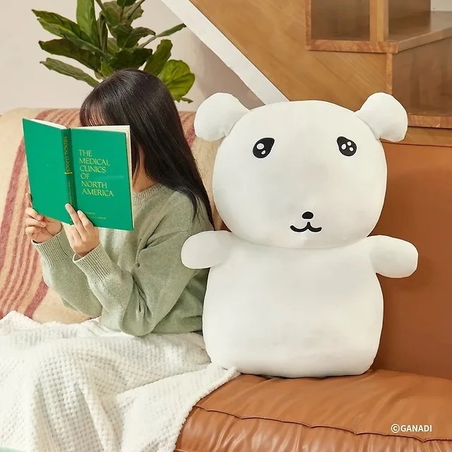 ガナディ 抱き枕 2種 (ナアナ/ライング) / 가나디 바디필로우 / 公式グッズ