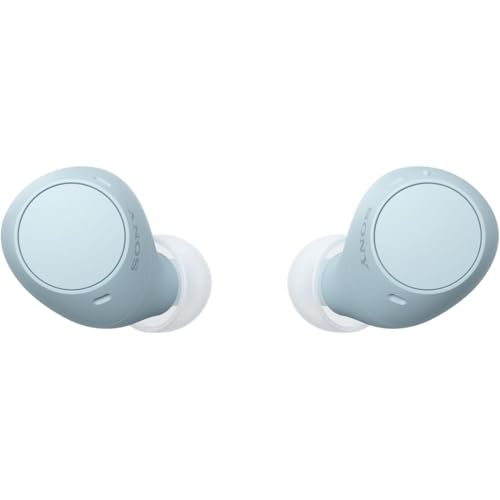 ソニー() 完全ワイヤレスイヤホン WF-C510 / 軽量小型4.6g / 高精度通話品質/外音取り込み対応/マルチポイント対応 / IPX4防滴性能 / ブルー/WF-C510 LC