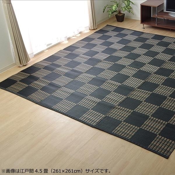 洗える PPカーペット 『ウィード』 ブラック 江戸間3畳（約174x261cm） 2116903
