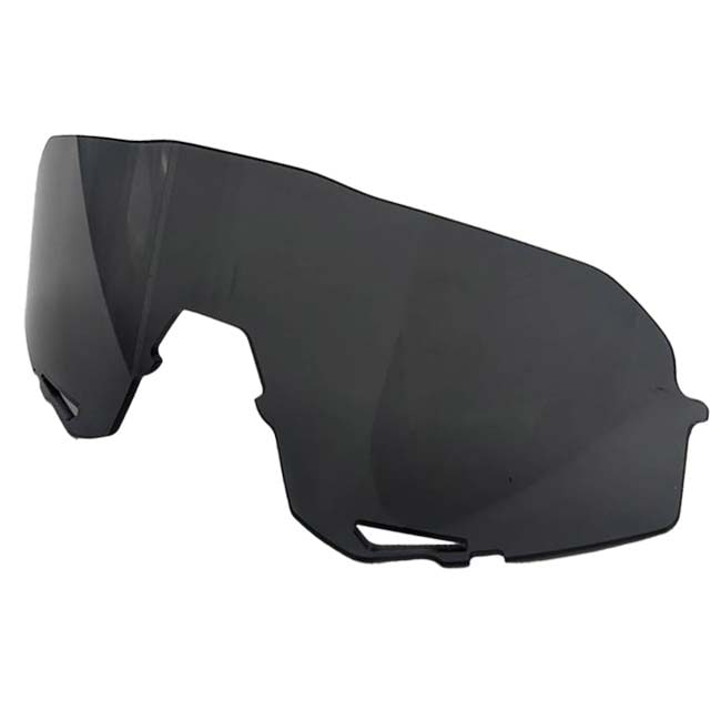 交換用レンズ 100%(ワンハンドレッド) SLENDALE スレンデール用 リプレイスメントレンズ 本体は別売 69113-00005スモーク(24y12m)