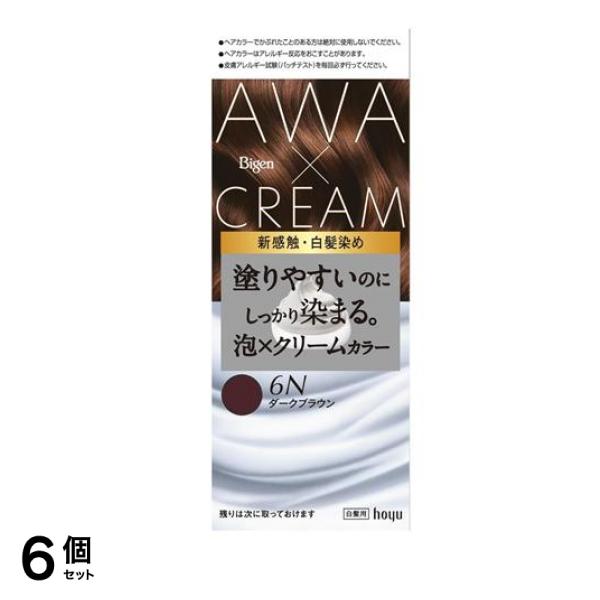 泡クリームカラー 白髪用 6Nダークブラウン 1組入 6個セット