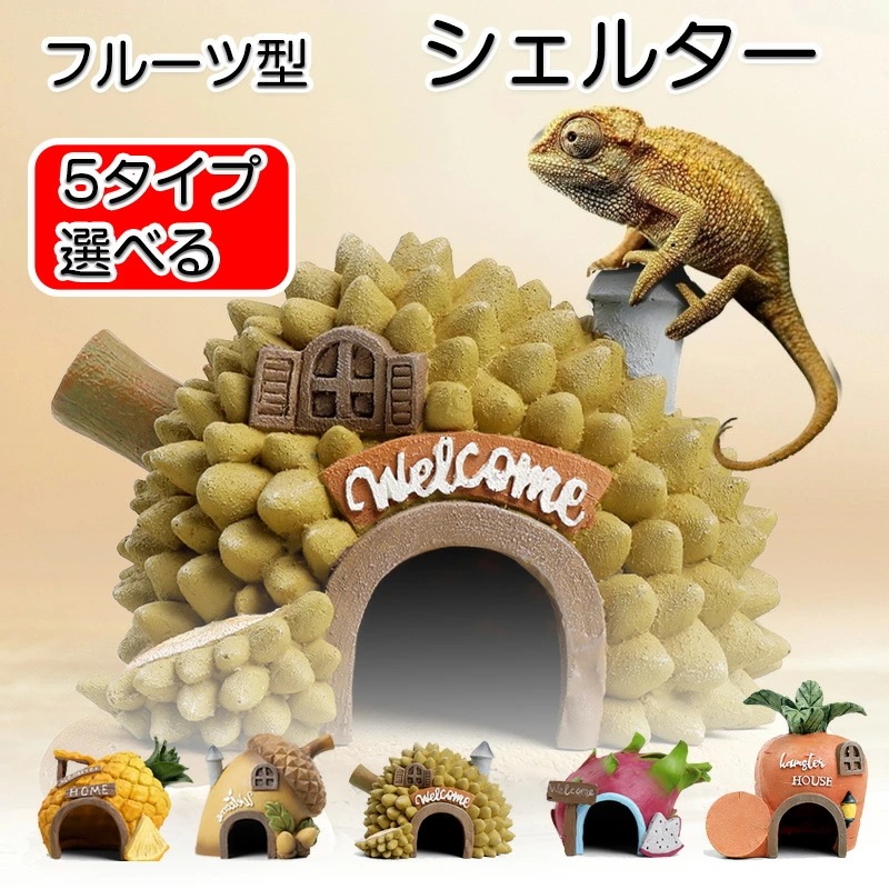 Qoo10] 在庫僅少爬虫類 シェルター フルーツシェ