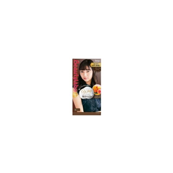 【10個セット】ビューティラボ ホイップヘアカラー 髪色もどし (ナチュラルブラウン)[ホーユー]