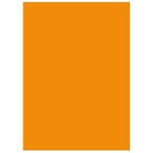 【楽天カード分割】 [A3 カラーペーパー/リサイクルコピー用紙 北越製紙 500枚x3冊] オレンジ 日本製 コピー用紙