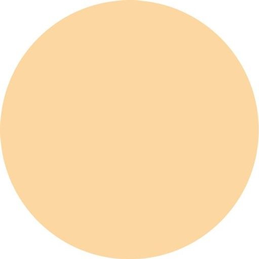 ビジョンファンデーション ファインカバーパウダー ベージュオークル01 (レフィル)