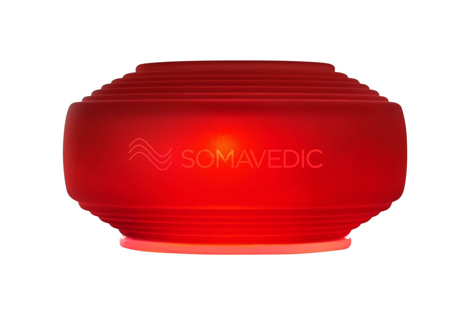 電動しぼり器 しぼるくん GP-E1503(FSB0201) エレクトロ通商 電動