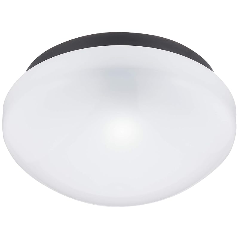 即納：東芝ライテック LEDアウトドアシーリングライト ブラック ランプ別売