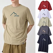 Qoo10] ロンロン ROSY APPLIQUE CROP T : レディース服