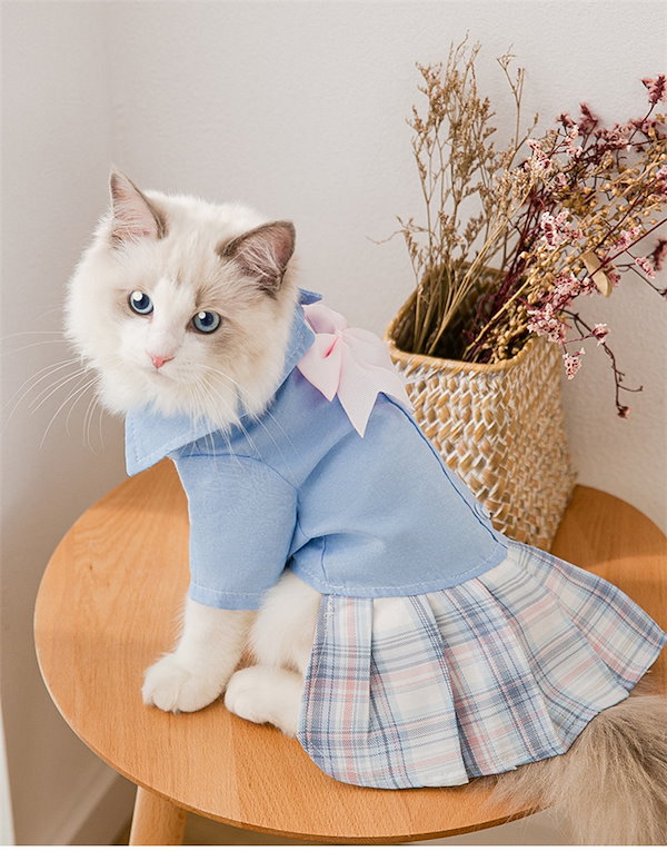 [Qoo10] INSスタイル 秋冬 新品 可愛い 猫