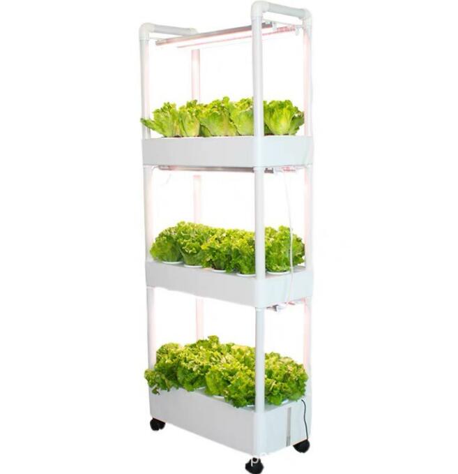 家庭用水耕栽培　多層栽培器育成