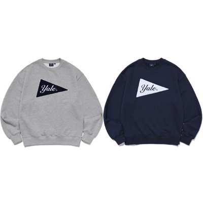 中国 呉須青絵 瓶一対 鳳凰図