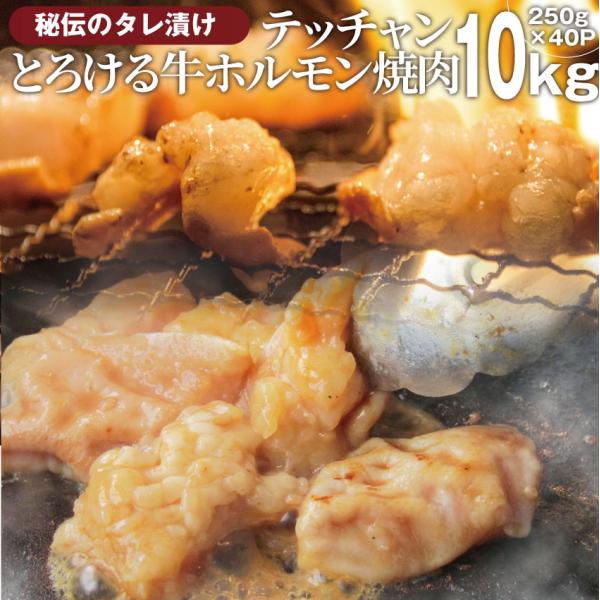 焼肉 牛肉 肉 ホルモン テッチャン モツ シマチョウ 10kg(250g×40袋) バーベキュー 焼くだけ