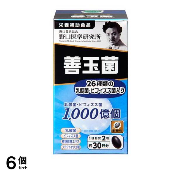 野口医学研究所 善玉菌 60粒 (約30日分) 6個セット