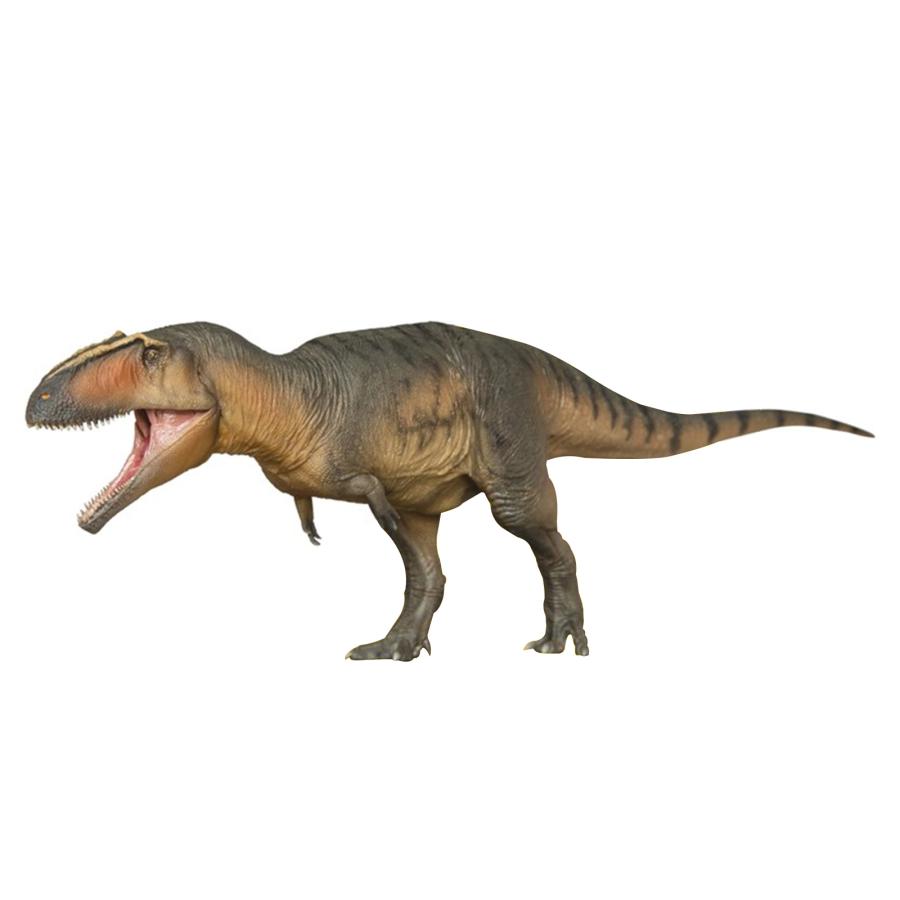 短納期 PNSO 恐竜博物館 1/35 サイズ ギガノトサウルス 大きい 肉食 恐竜 リアル フィギュア PVC プラモデル おもちゃ 模型 恐竜好き 誕生日 プレゼント 35.2cm