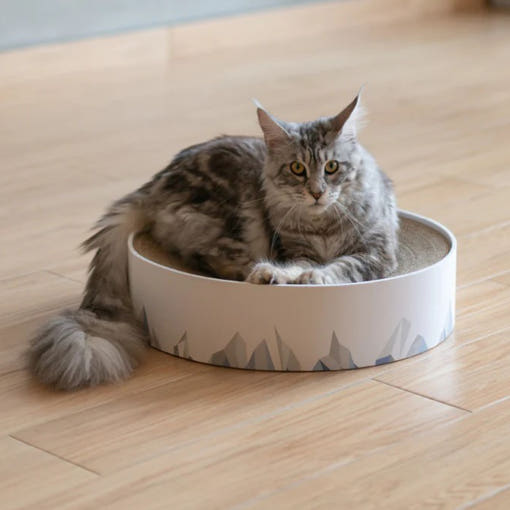 【韓国公式/正規品】ペペ ピダン 猫 スクラチャー バレー