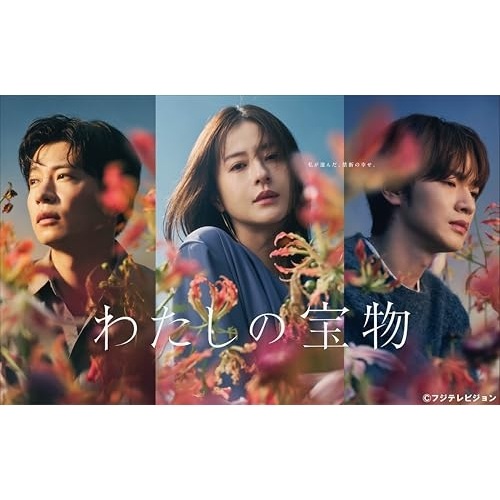 BD / 国内TVドラマ / わたしの宝物 Blu-ray BOX(Blu-ray) (本編ディスク3枚+特典ディスク1枚)