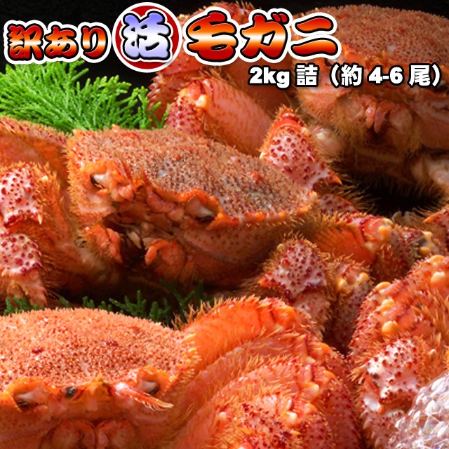 活毛ガニ 訳あり 2kg詰(4-6尾入) 身入り7割前後 6,863円