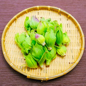フキノトウ　ふきのとう　山菜　天然物　約100g　長野県産　新潟県産