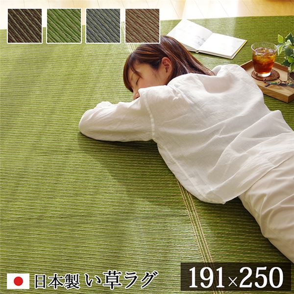 い草 ラグ/カーペット [約191x250cm ダークブラウン] 国産 無地風 自然素材 ウレタン