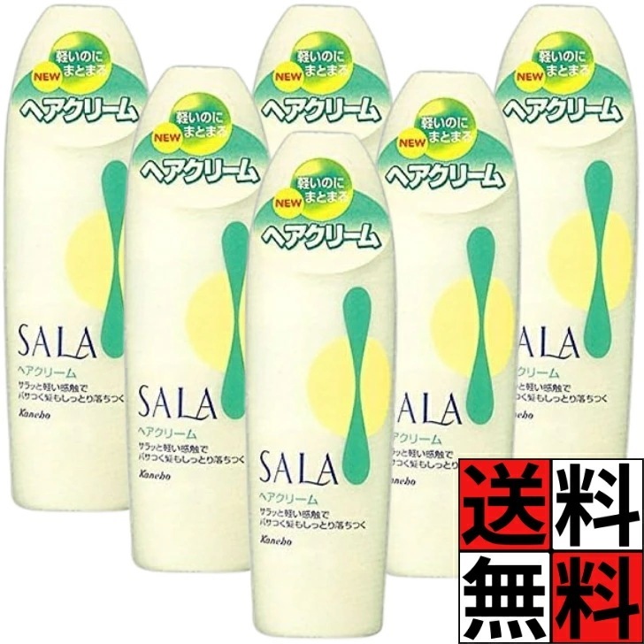 ヘアクリーム サラ いい香り うるおい 浸透 べたつかない 髪 スタイリング しっとり まとまる カネボウ SALA 165ml ×6個