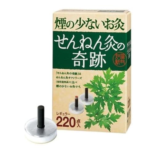 の奇跡 レギュラー 220点入