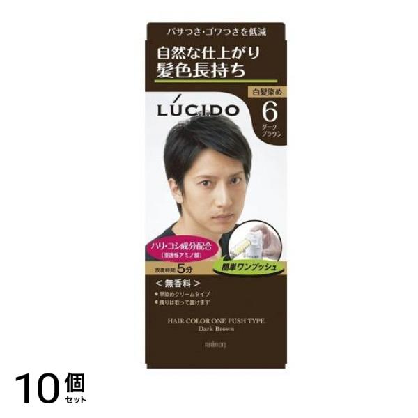 LUCIDO(ルシード) ワンプッシュケアカラー 6 ダークブラウン [1剤50g+2剤50g] 1個 10個セット