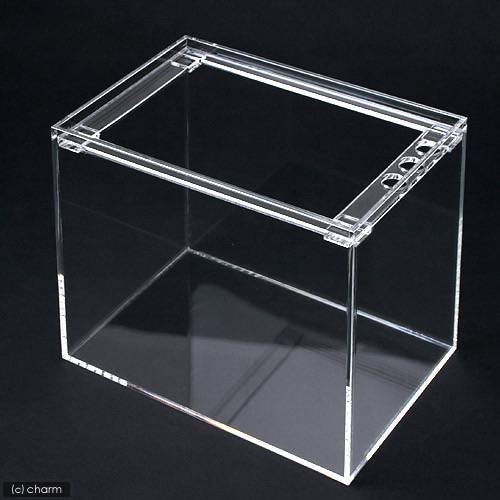 水槽　アクリル水槽　ラクシス　Ｎｏ．１０　（３００X２００X２５０ｍｍ）　３０ｃｍ水槽　ＣＲＣ10―11―04―20―00