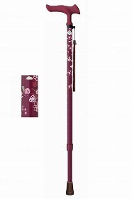 フジホーム かるがもファムII 伸縮 小花ワイン WB5130