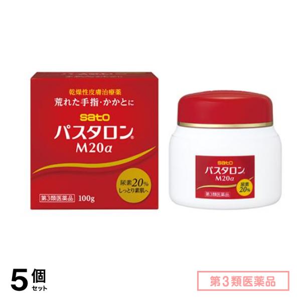 第３類医薬品 パスタロンM20α 100g 5個セット