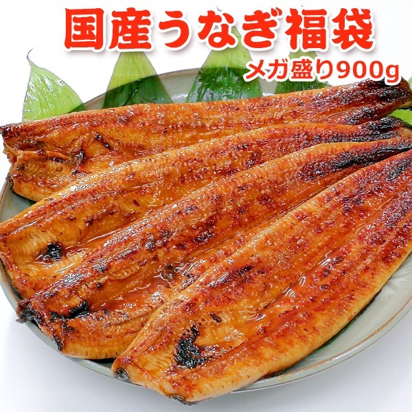 国産 うなぎ福袋 メガ盛り900g