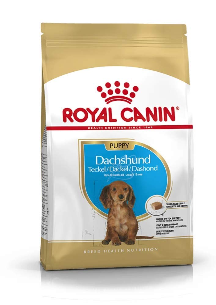 BHN ダックスフンド 子犬用 1.5kg