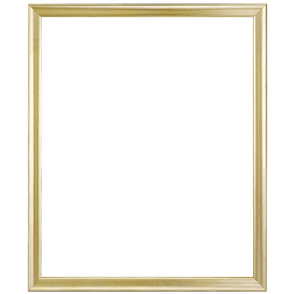 大額 デッサン額 5652 大全紙 ゴールド