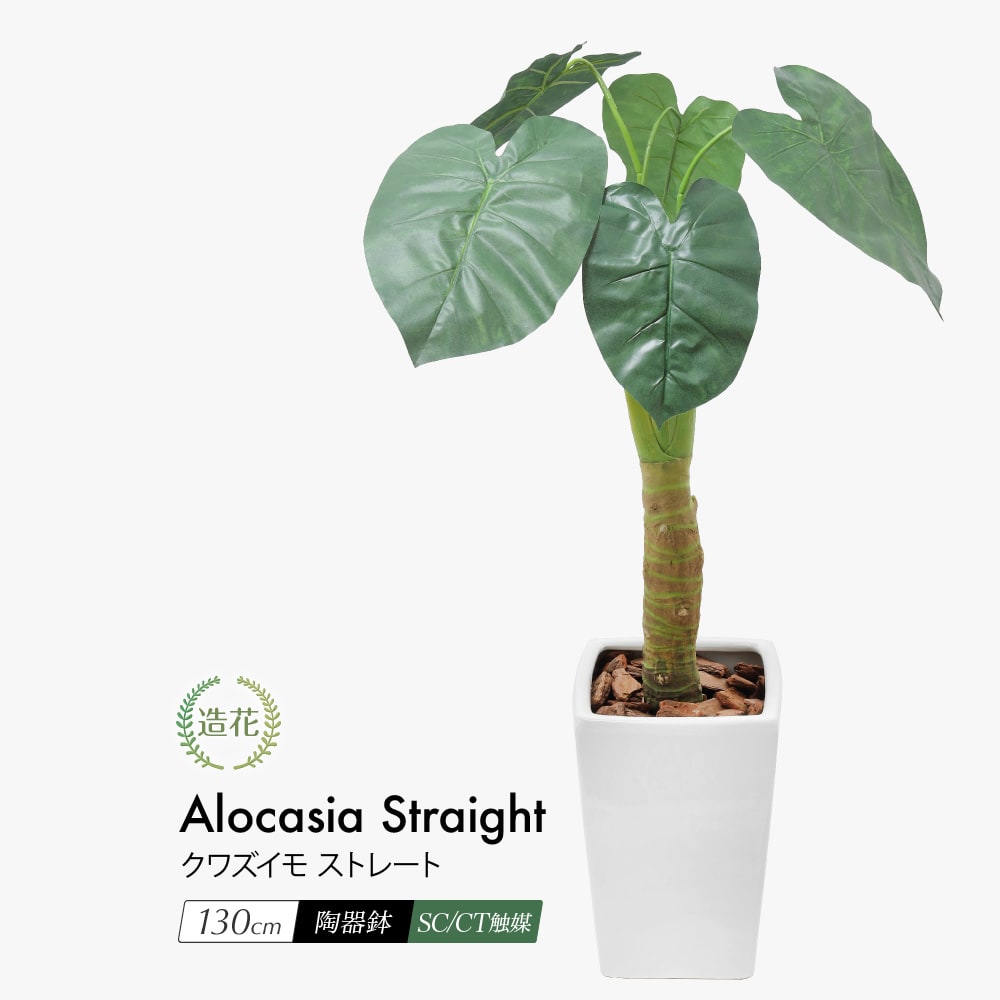フェイクグリーン クワズイモ ストレート 130cm 鉢植 陶器鉢 CT触媒