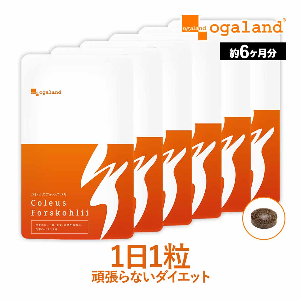 ダイエットサプリ コレウスフォルスコリ（約6ヶ月分） 植物性 イヌリン デキストリン 食物繊維 フォルスコリ 燃焼系 水溶性食物繊維 スーパーフード 5,095円