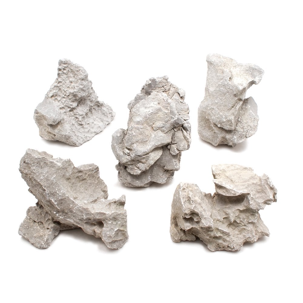 形状お任せ　白風石　Ｍサイズ（約１３ー１８ｃｍ）　５個　アクアリウム　レイアウト素材　ＣＲＣ21―20―99―10―00