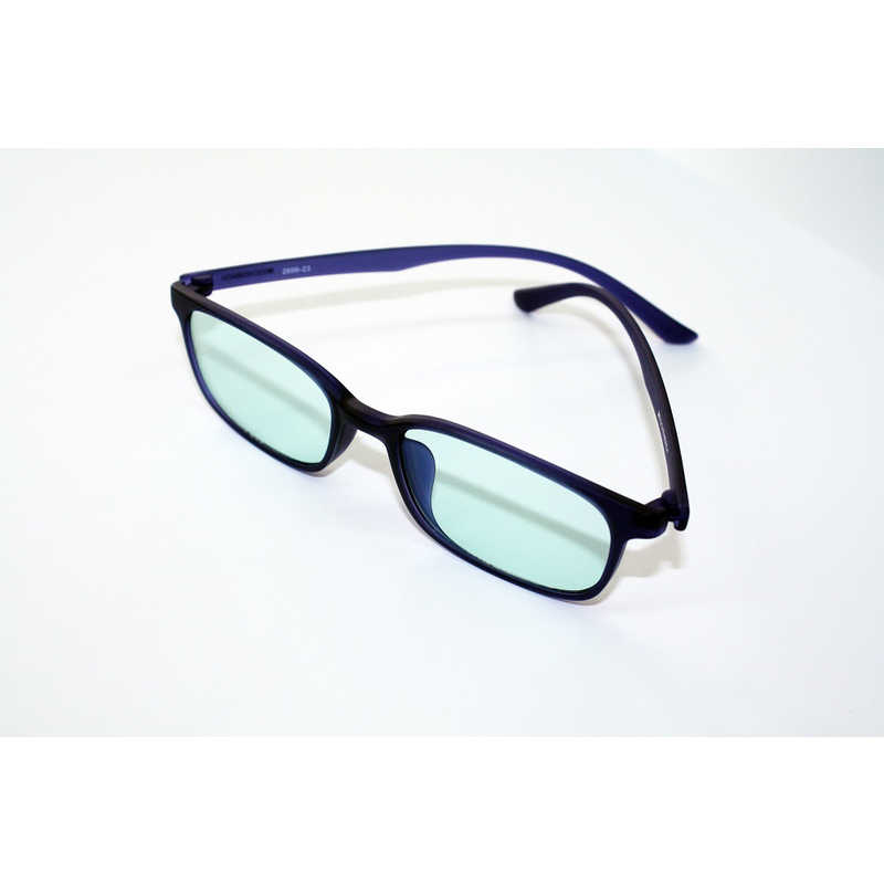 エッシェンバッハ　近赤外線カットサングラスミルフィールブルー　2999-22