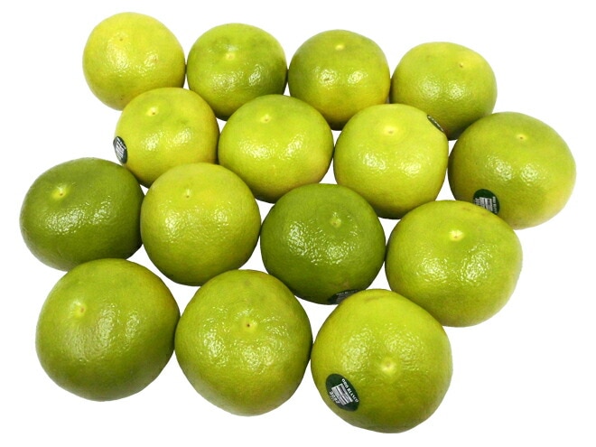 カリフォルニア産 =完熟オロブロンコ= 13-18玉 約6kg 予約 2月以降