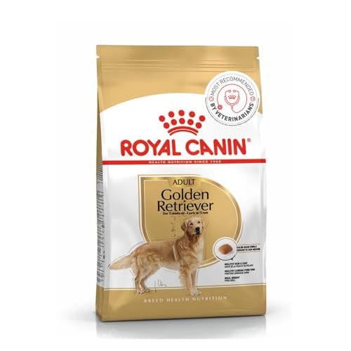 BHN ゴールデンレトリバー 成犬・高齢犬用 3kg