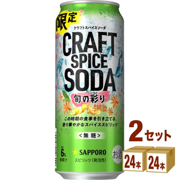 サッポロ クラフトスパイスソーダ 旬の彩り 缶 500ml 2ケース (48本) チューハイ