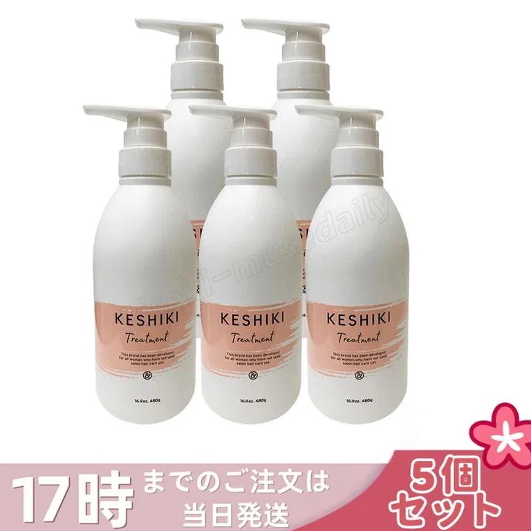 【5個セット】ケシキ ヘアトリートメント 480g 本体 KESHIKI ヘアトリートメント 潤い成分 美容液 保湿成分 ダメージ補修 サロン専売品 美容室 美容院 天然由来成分