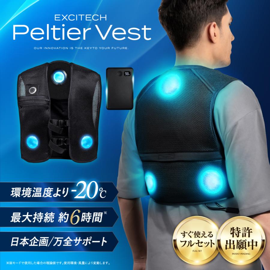 2025年最新モデル ペルチェ ベスト (日本企業企画) 10000mAh大容量バッテリー付き 冷却ベスト フリーサイズ 男女兼用