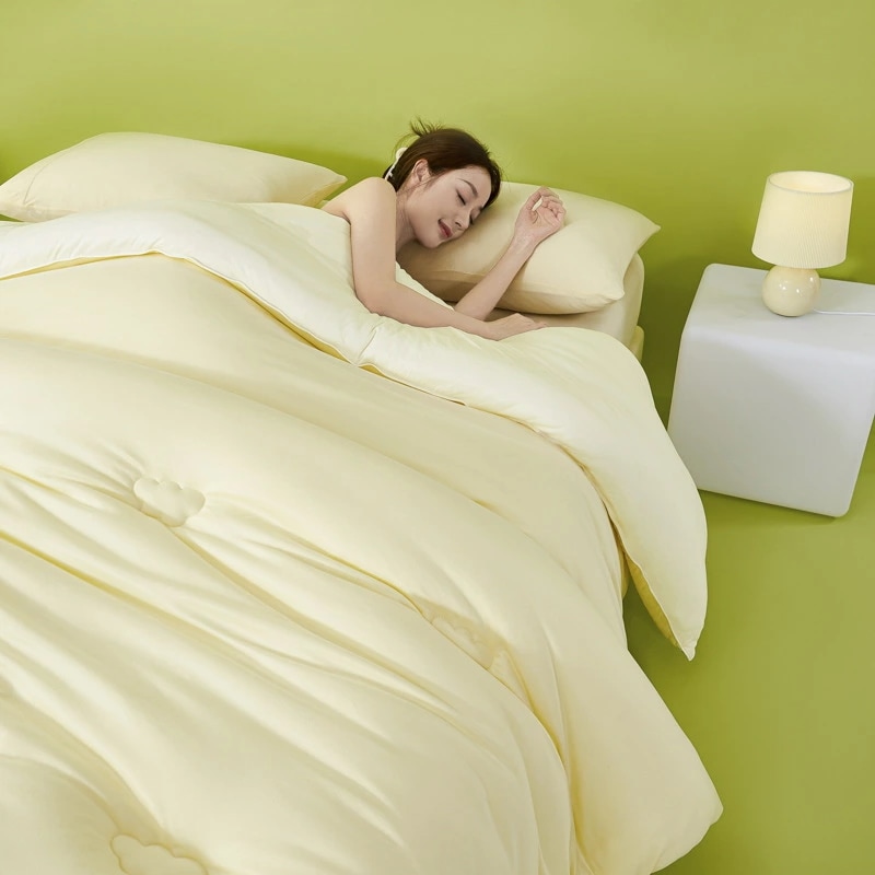 寝具 冬用 厚手 毛布 柔らかい 春秋用 単身者 学生用 保温 布団