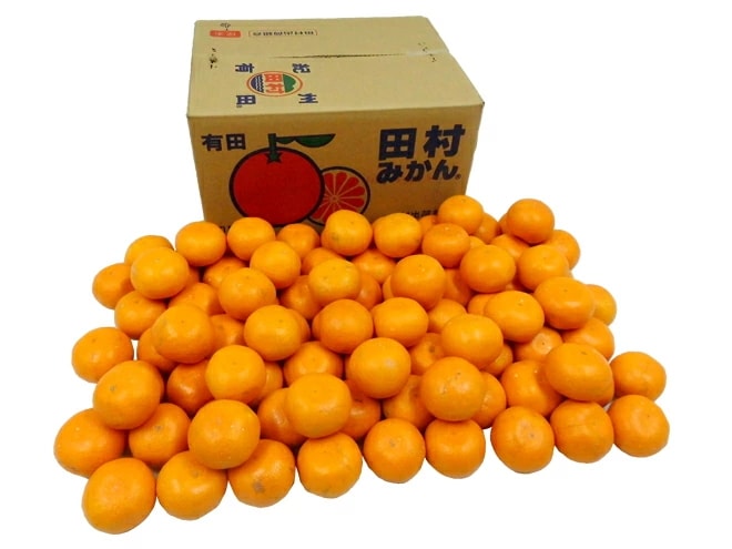 和歌山有田産 =田村みかん= 生産者限定 訳あり 約10kg 大きさおまかせ 産地箱 久右門 佐助 限定 予約 11月末以降