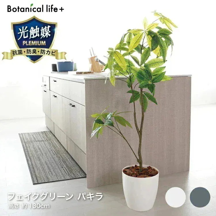 【人気商品】パキラ 23027 ホワイト【代引不可】【同梱不可】 新生活