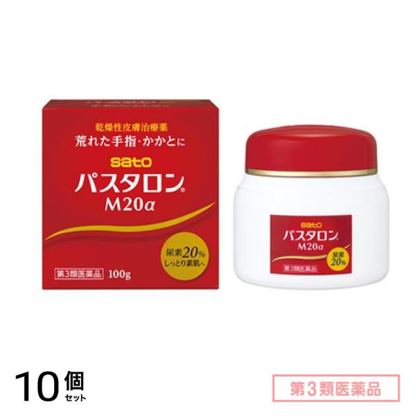 第３類医薬品 パスタロンM20α 100g 10個セット