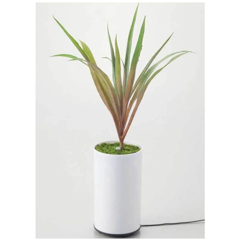 イシグロ　グリーンディフューザー タイプA[超音波式]　70090除湿器