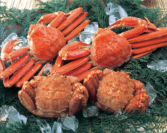 新・豪華毛がにずわい4尾セット