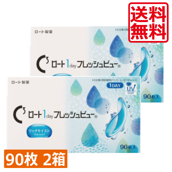 ロート ワンデーフレッシュビューリッチモイスト(90枚) 2箱 1day フレッシュビュー