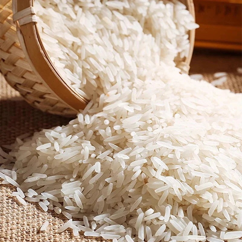 【急速出荷!】米米猫歯香米 合計5kg お祝いに コシヒカリ ギフト 粗品 くまモンおすすめ商品 g*10袋)のおいしいお米 500g×10 プレゼント (500